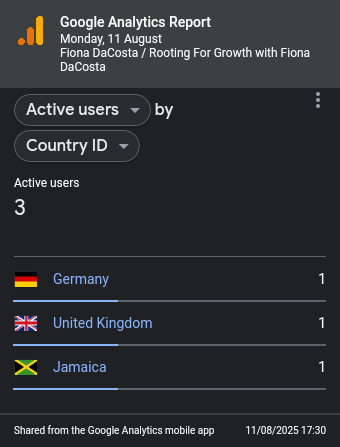 Jamaican Blog Google Analytics