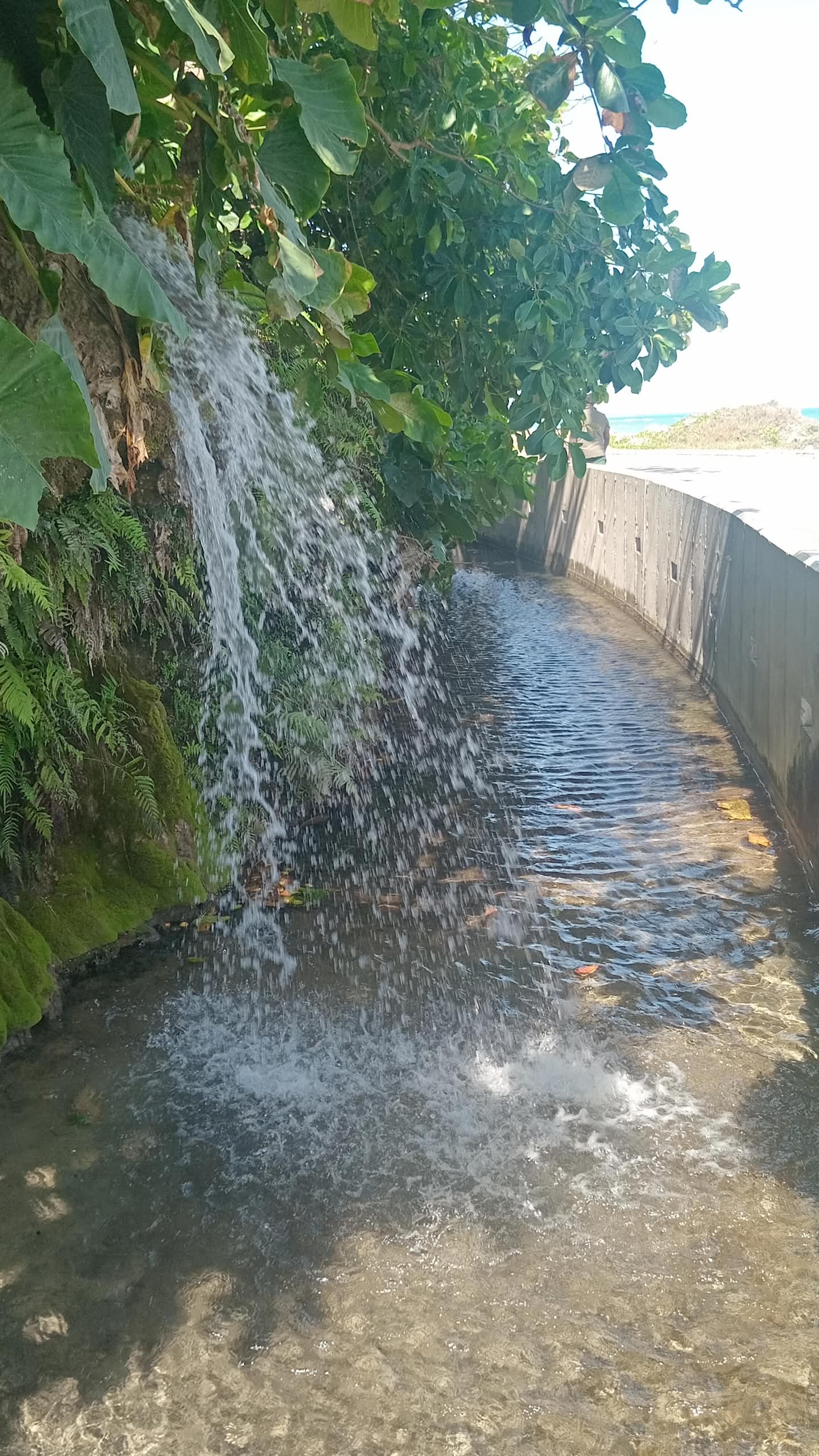 Roselle Falls St. Thomas Jamaica